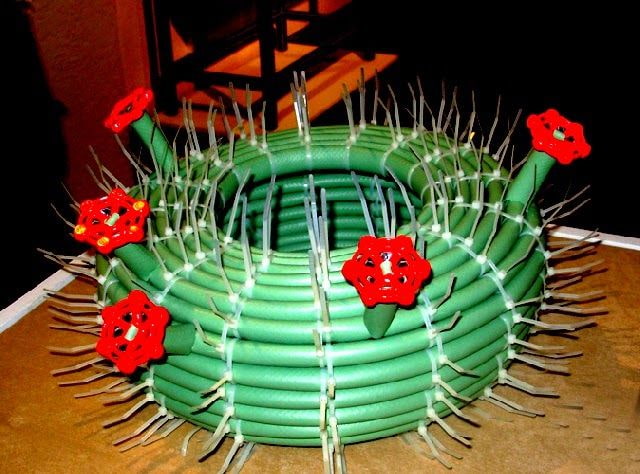 cactus da un tubo