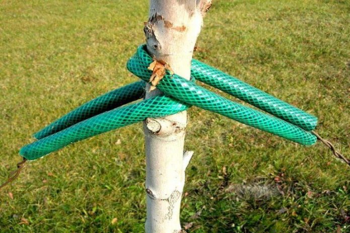 cuscinetti di supporto