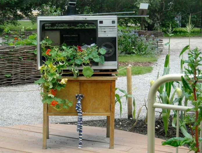 Aiuola di fiori da una vecchia TV
