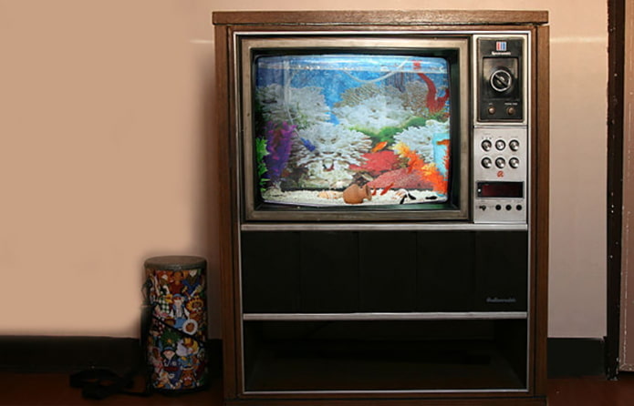Acquario della TV