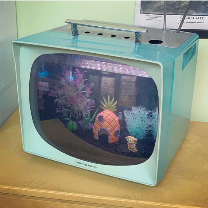 Un elegante acquario da una vecchia TV