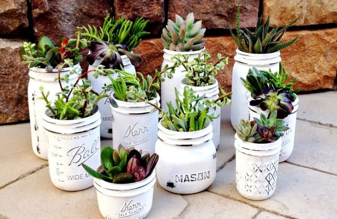 vaso di fiori
