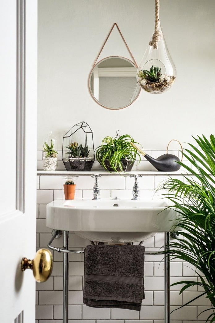 succulente in bagno