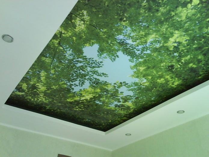 soffitto teso strutturato con verde