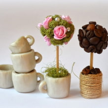 Come realizzare un'arte topiaria con le proprie mani?-2