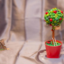 Come realizzare un'arte topiaria con le proprie mani?-3