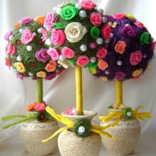 Come realizzare un'arte topiaria con le proprie mani?-4