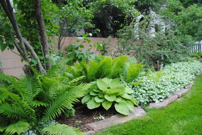 Giardino a bassa manutenzione