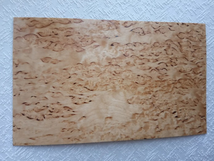 Texture di betulla della Carelia