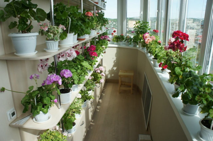 mensole per fiori sul balcone