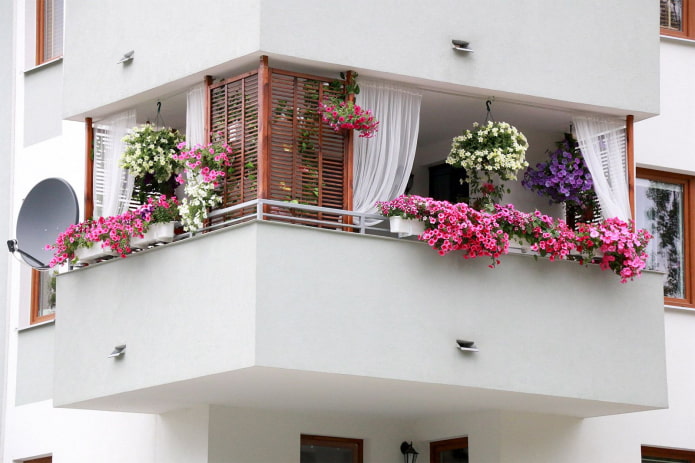 decorare un balcone con i fiori