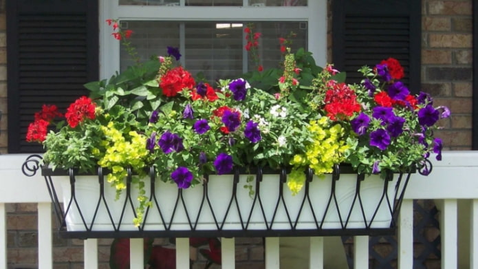 cestini con fiori