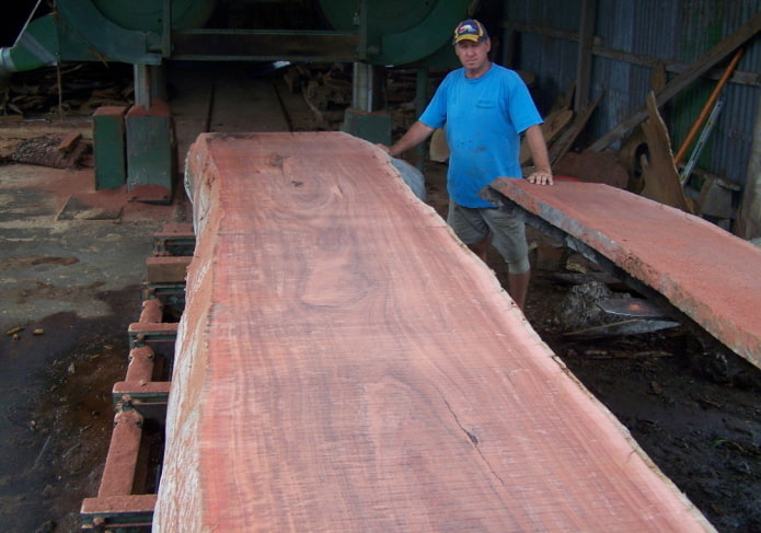 jarrah amazzonica affettata