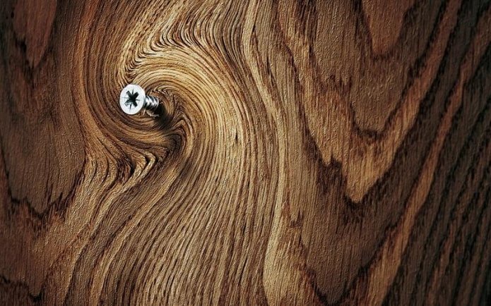 Vite autofilettante nel legno