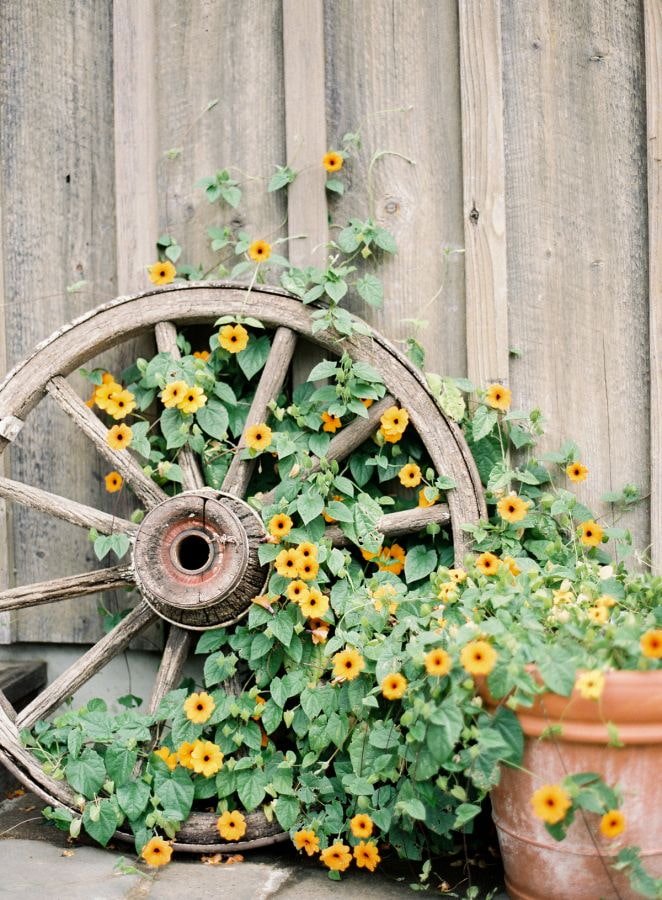 Ruota con fiori