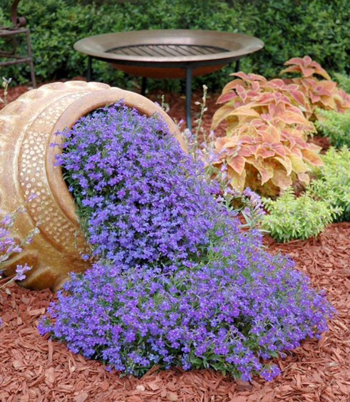 Decorazioni con fiori e brocche