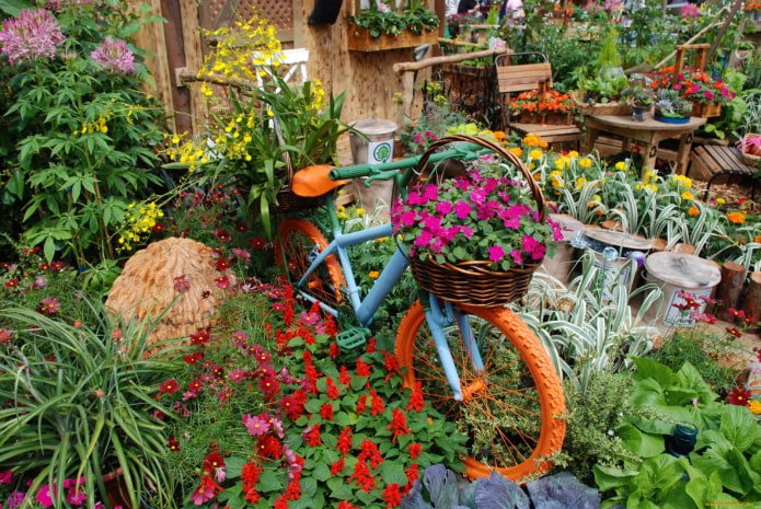 Bicicletta tra i fiori