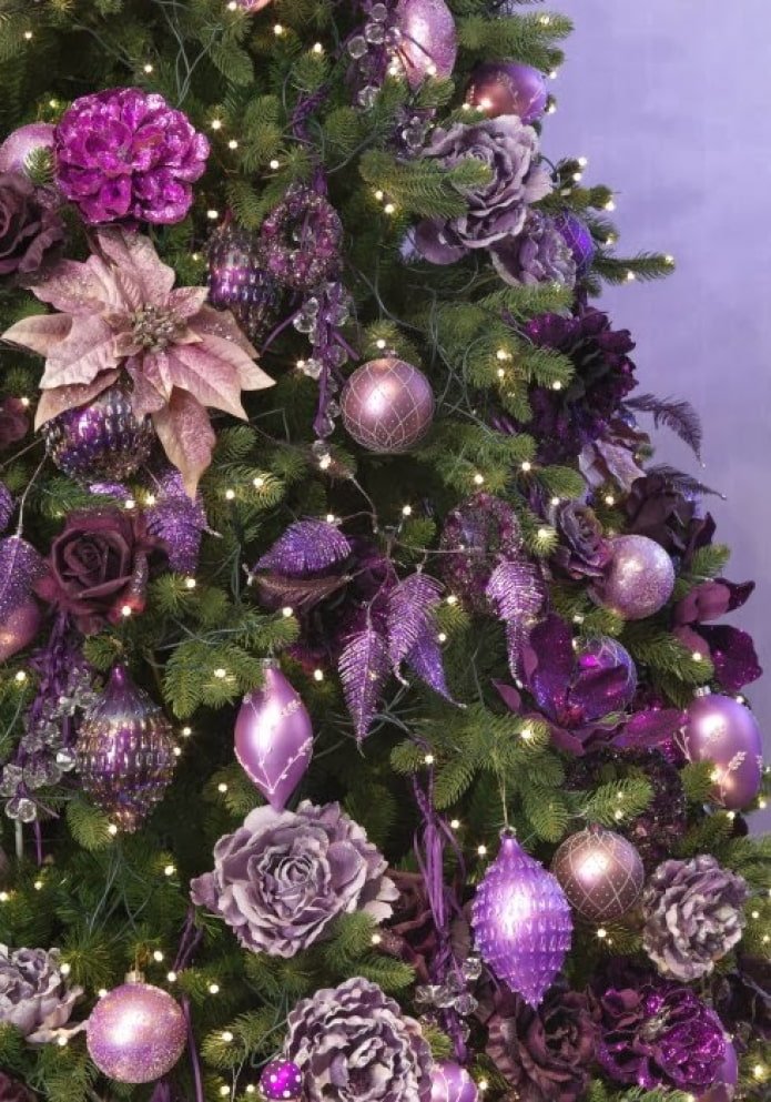 Albero viola