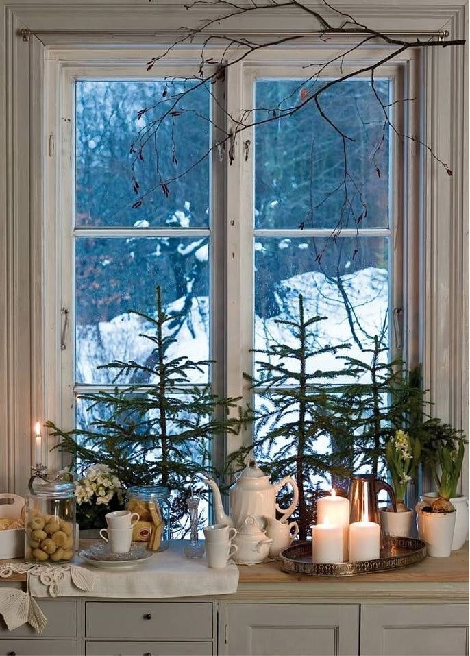Alberi di Natale vivi sul davanzale