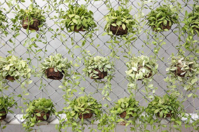 vasi di fiori sulla rete metallica