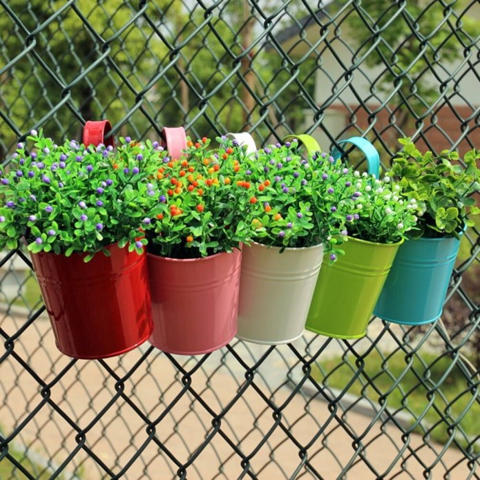 secchi di fiori su una rete metallica