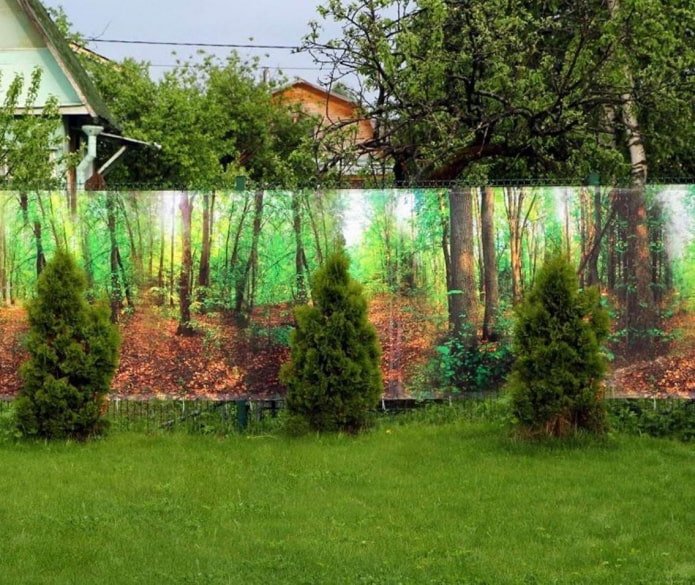 foto rete su recinzione a maglie sciolte