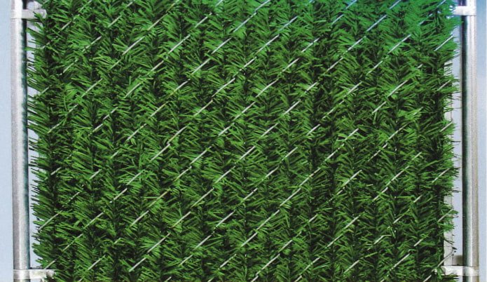 aghi di pino artificiali in una recinzione a maglie di catena