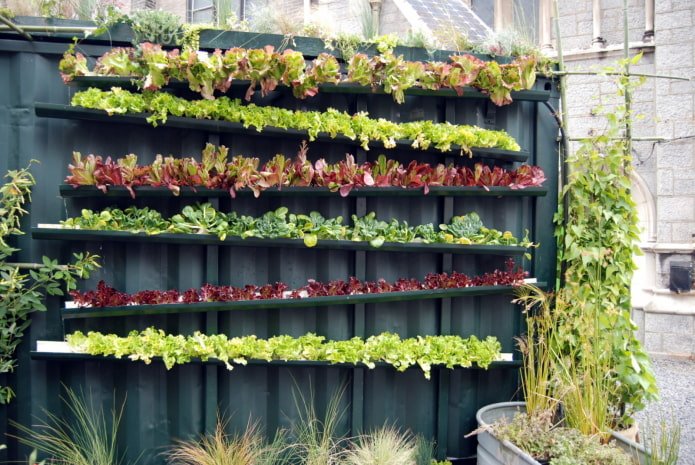 Giardino e orto sulla recinzione