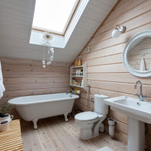 Vagonka nell'interno del bagno-1