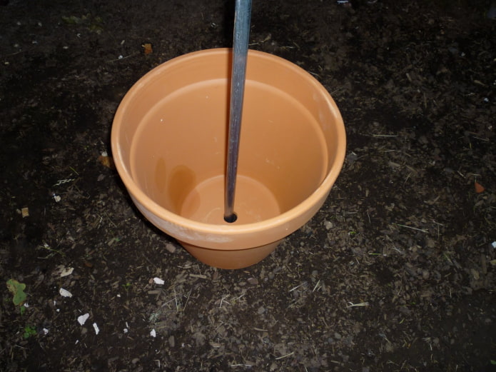 Un vaso su un'asta
