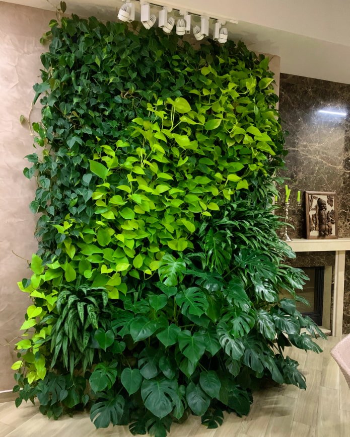 parete verde in casa
