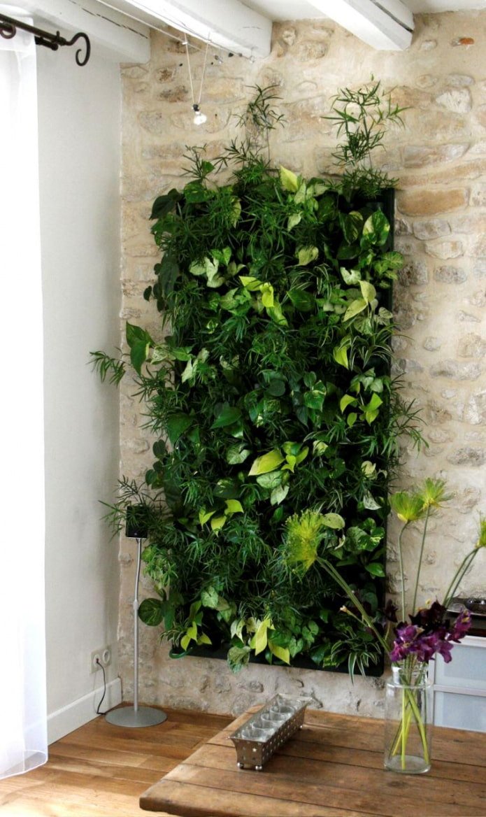 pannello verde sul muro