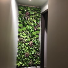 Come realizzare un giardinaggio verticale in un interno?-0