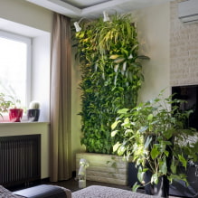 Come realizzare un giardinaggio verticale in un interno? -3