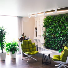 Come realizzare un giardinaggio verticale in un interno? -5