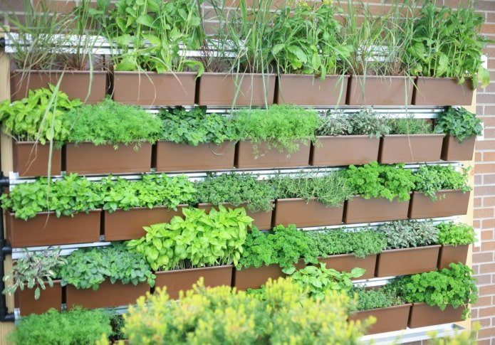 Aiuola verticale realizzata in contenitori