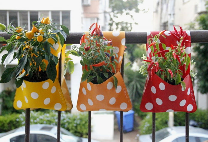 Sacchetti per peperoni