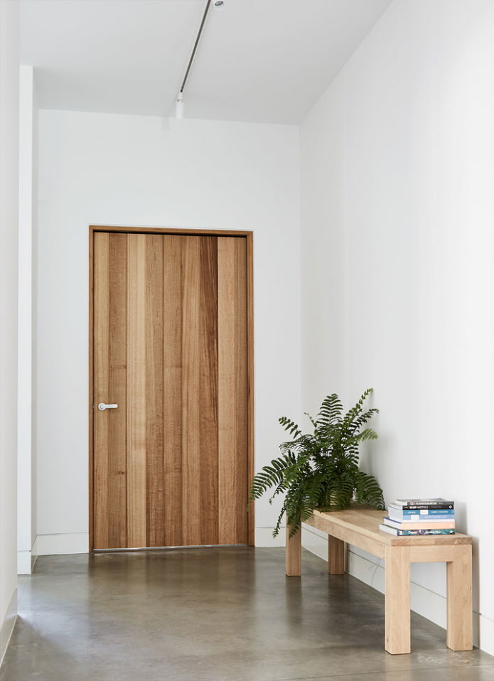 modello di porta d'ingresso in stile minimalista