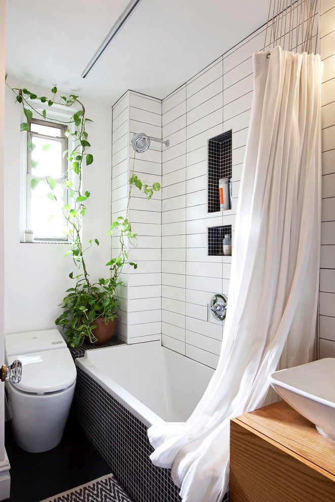 Filodendro in bagno