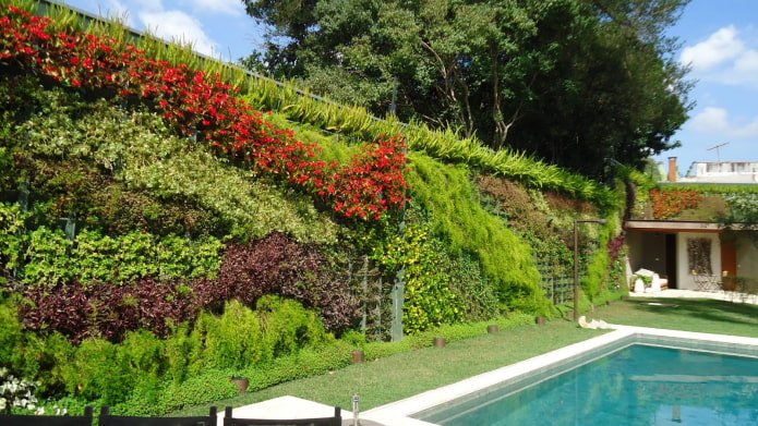giardino verticale tra appezzamenti