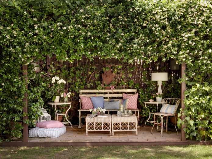 terrazza intrecciata con uva da tavola