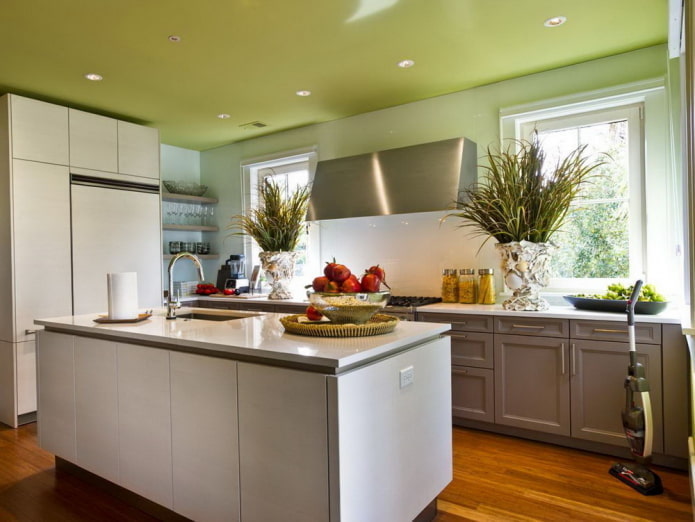design del soffitto a un solo livello verde 