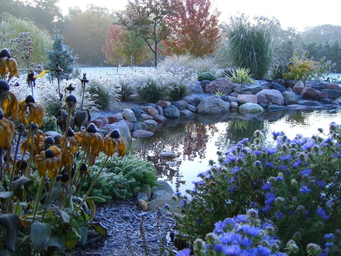 Giardino con cereali e stagno