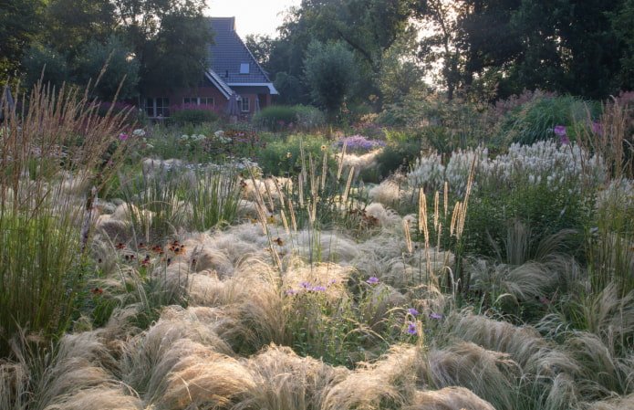 Giardino della steppa