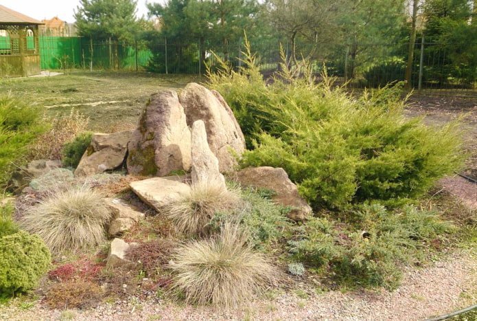 Giardino roccioso con grani