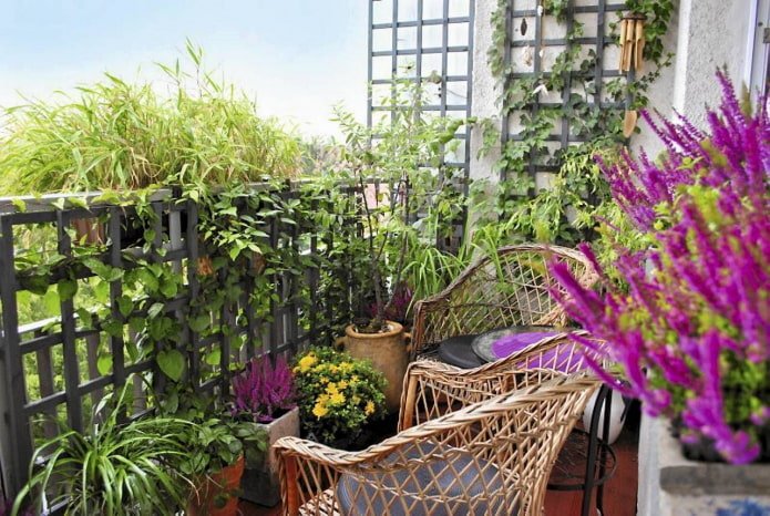 Giardinaggio sul balcone